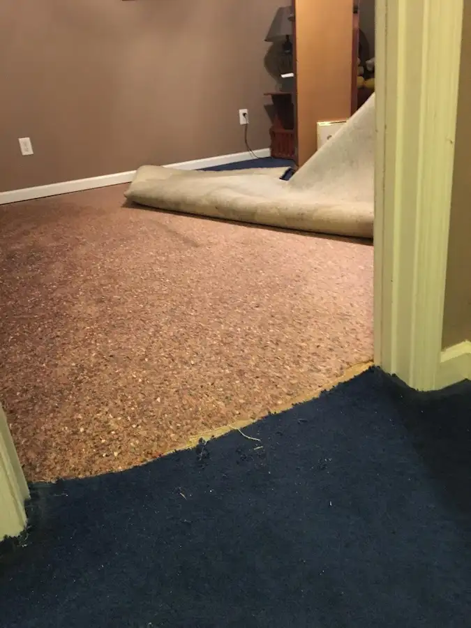 Carpet pad removal revealing water damage during Drying & Dehumidification in Smyrna
