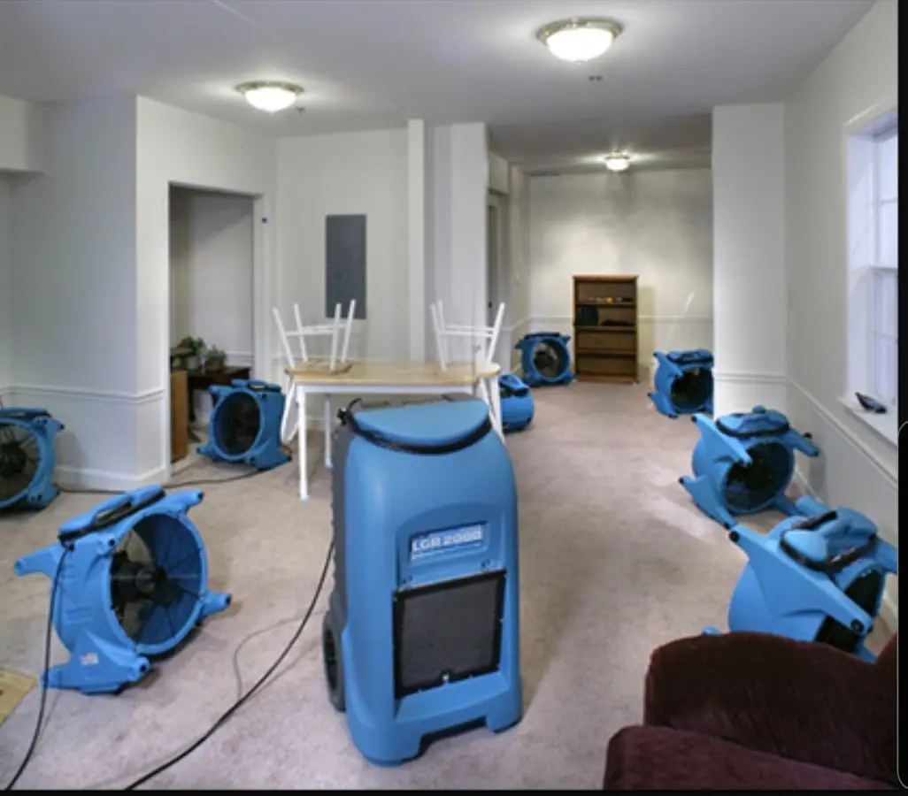 Air movers and dehumidifier setup for Water Extraction & Removal in Smyrna
